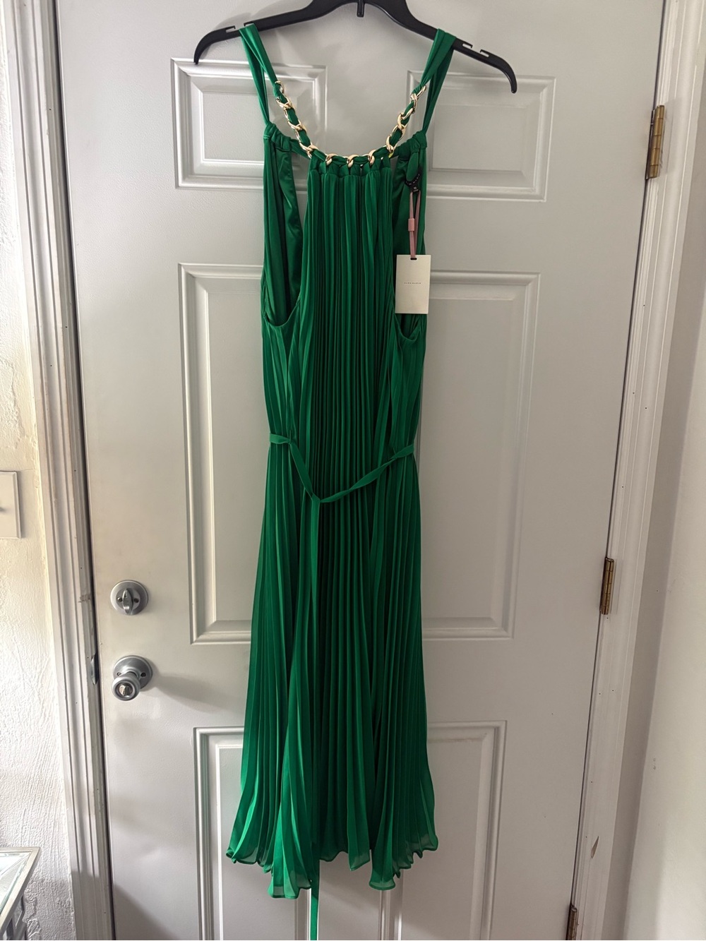 Elegant! Alex Marie Emerald Green Pleated Maxi Dress with Chain Straps